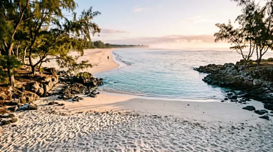 Plage isolée avec lagon turquoise et cocotiers à La Réunion au lever du soleil