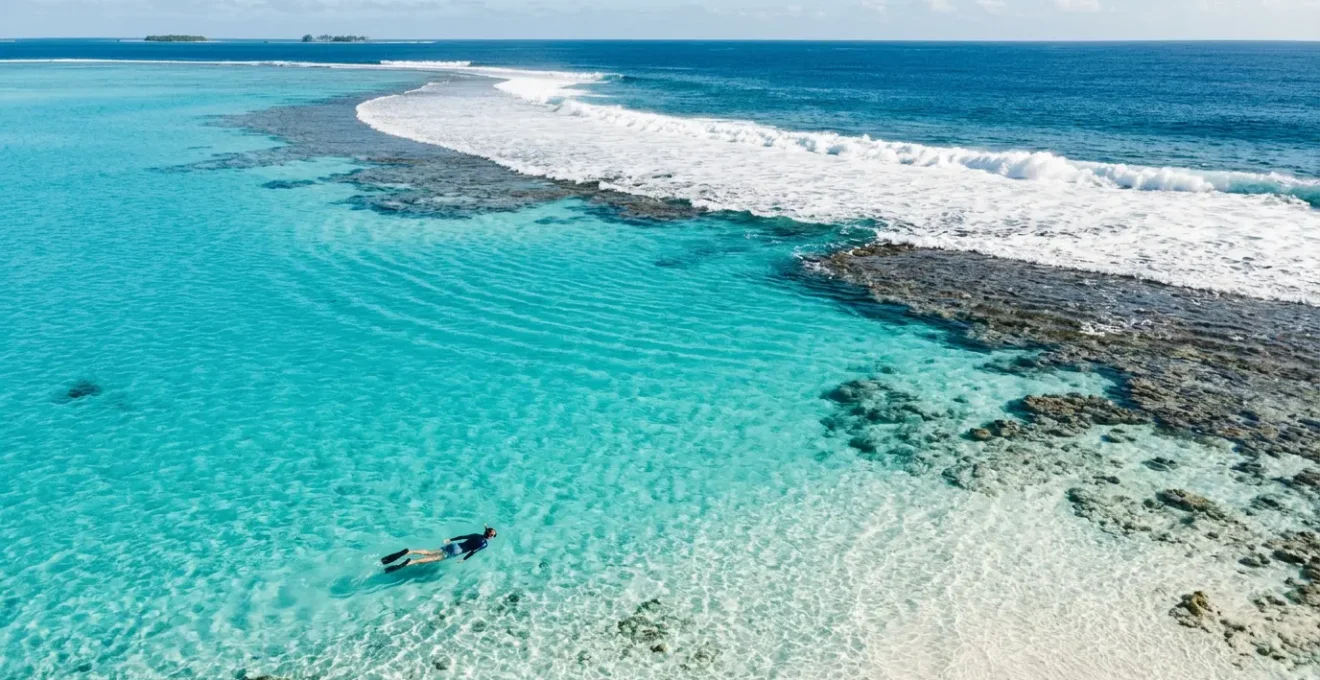 Plongeur en snorkeling observant les coraux dans les eaux cristallines du lagon de La Réunion