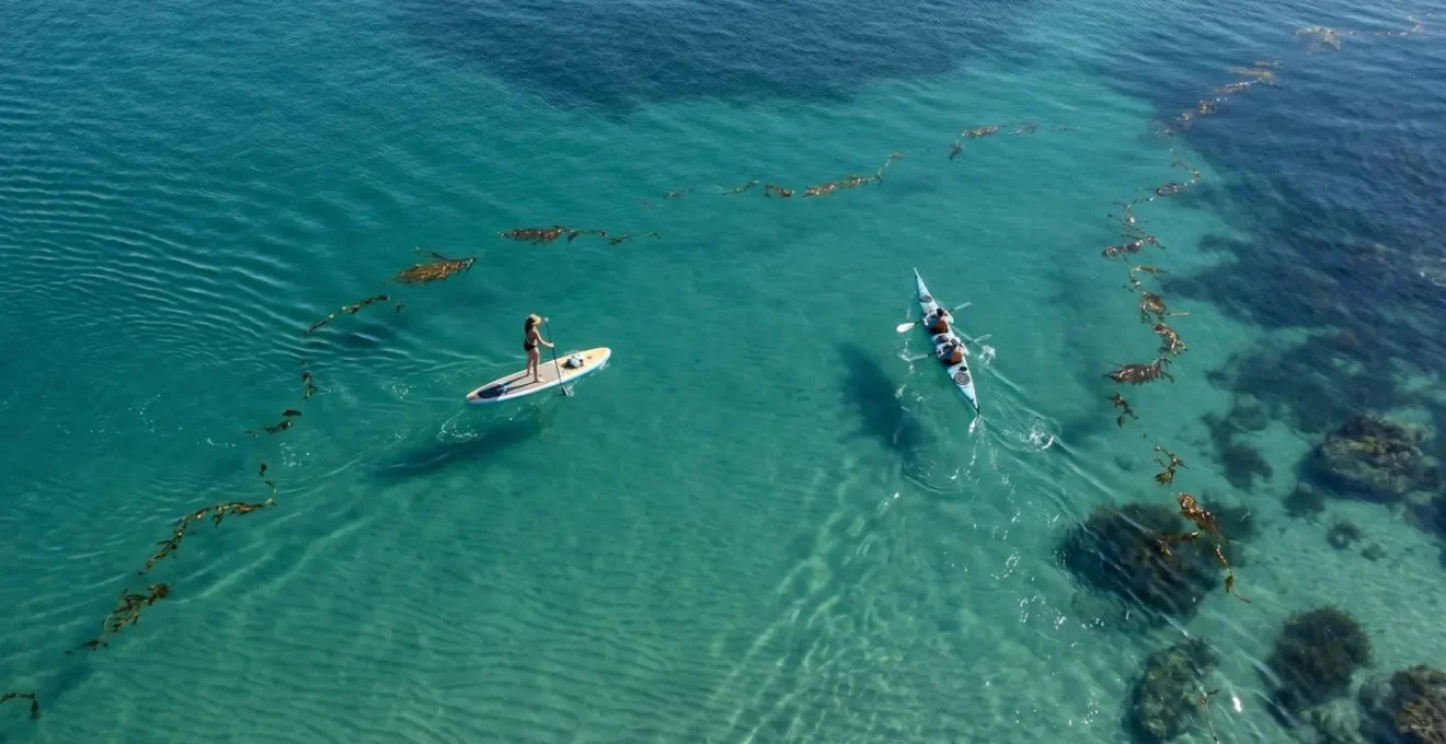 Comparaison de la dérive par vent de terre entre paddle et kayak vue de dessus